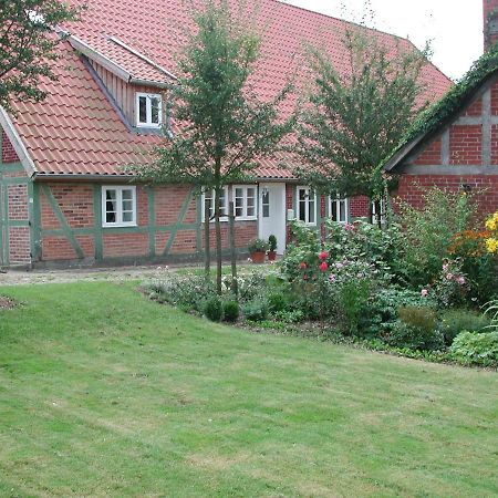 Ferienwohnung Am Elbdeich Bleckede Buitenkant foto