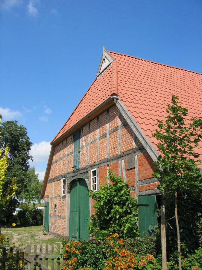 Ferienwohnung Am Elbdeich Bleckede Buitenkant foto