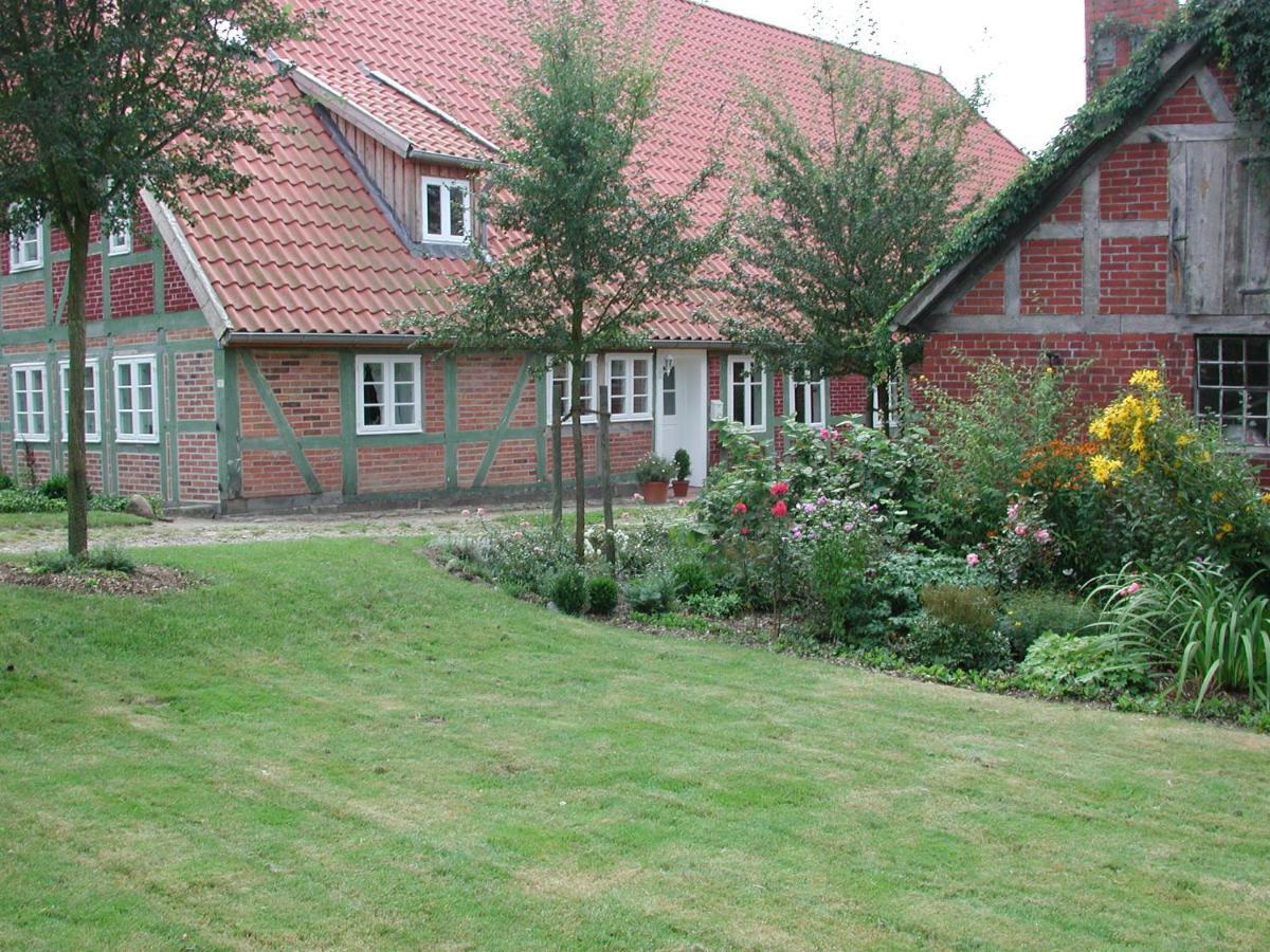 Ferienwohnung Am Elbdeich Bleckede Buitenkant foto