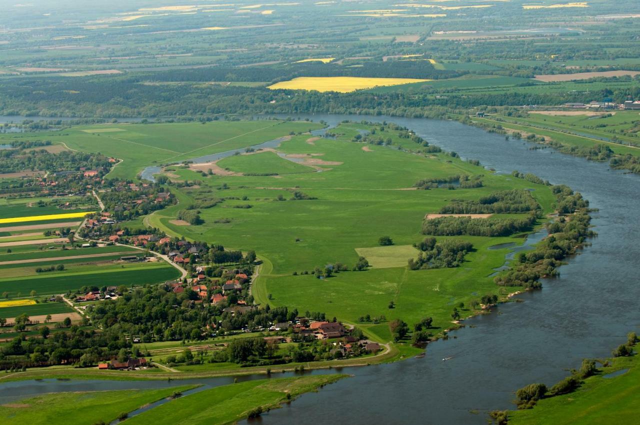 Ferienwohnung Am Elbdeich Bleckede Buitenkant foto